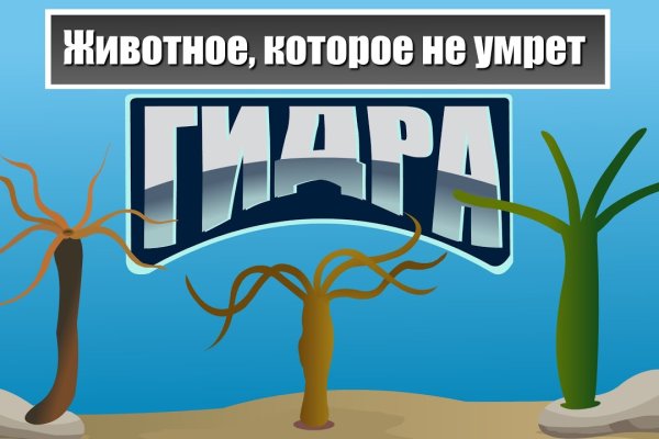 Кракен даркнет площадка