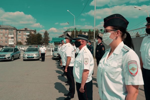 Кракен маркет только через тор скачать