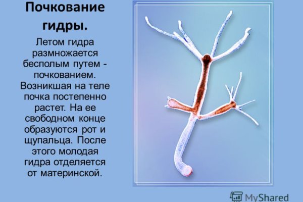 Как войти в даркнет