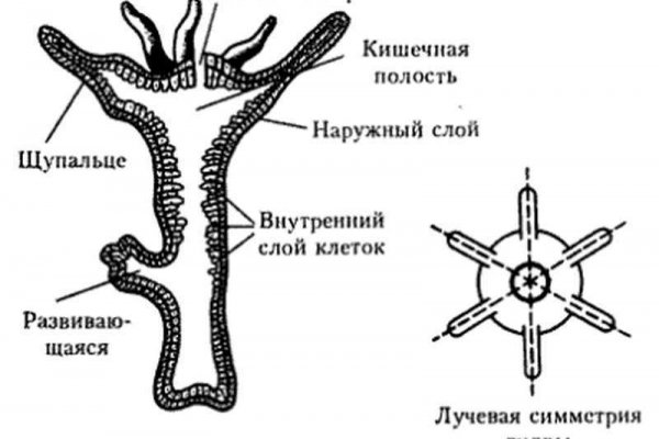 Кракен маркетплейс kr2web in площадка торговая