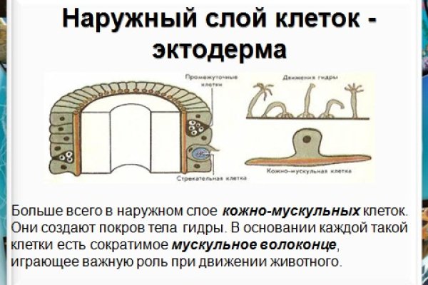 Кракен новый маркетплейс